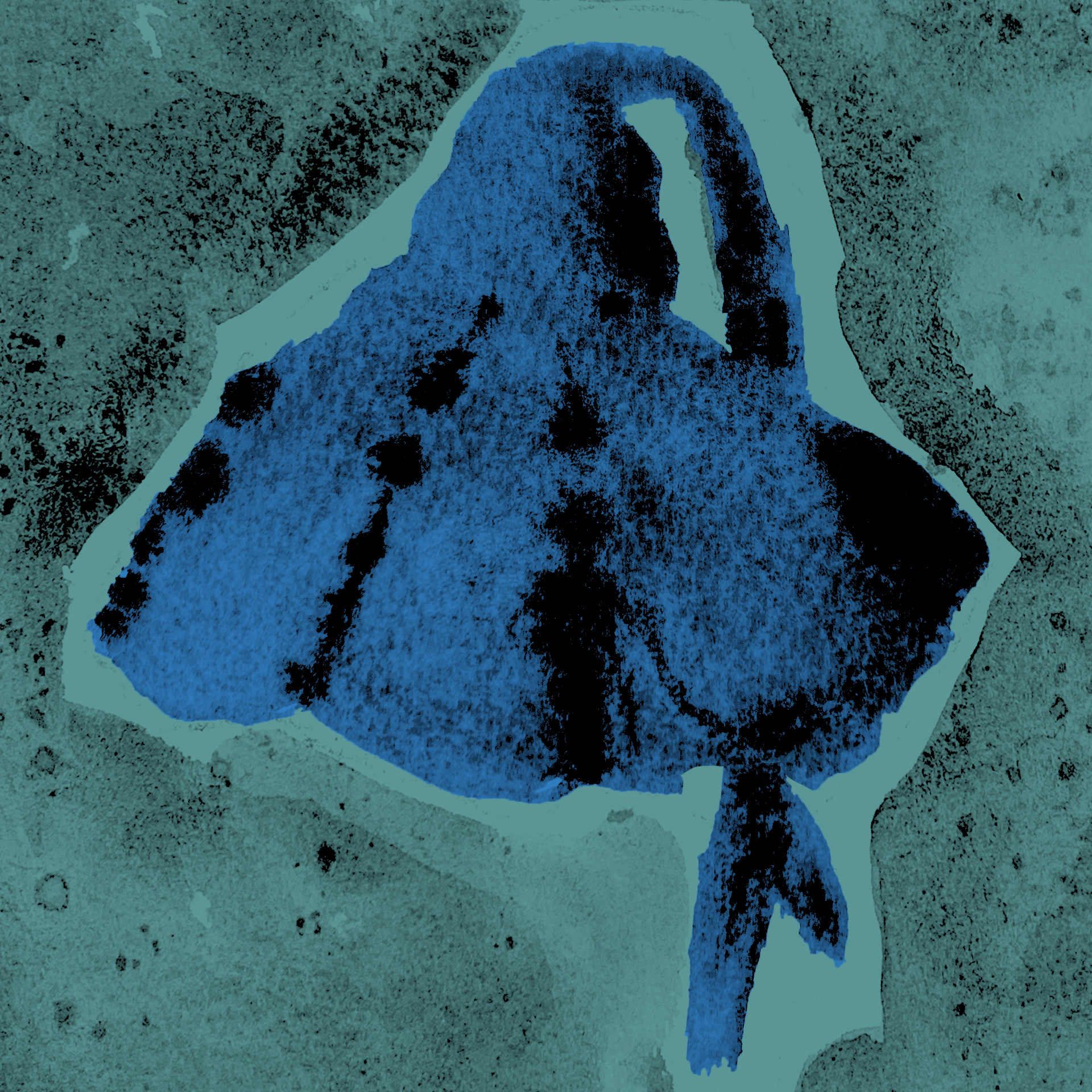 Amitiés du passé Artwork