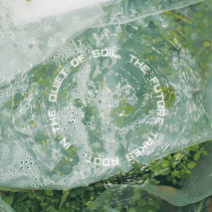 Watershed album artwork showing abstract design